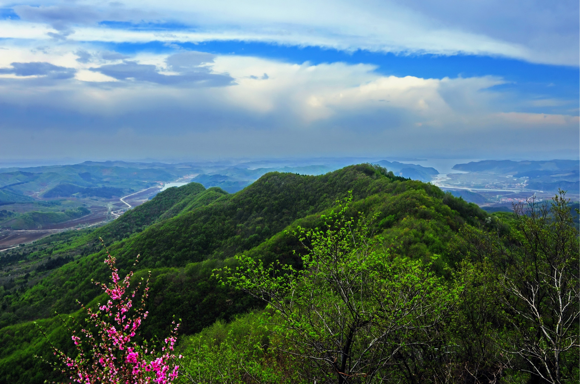 网红打卡地辽宁杠杠滴# 【紫花岭】 #美好辽宁欢迎您# #振兴新突破