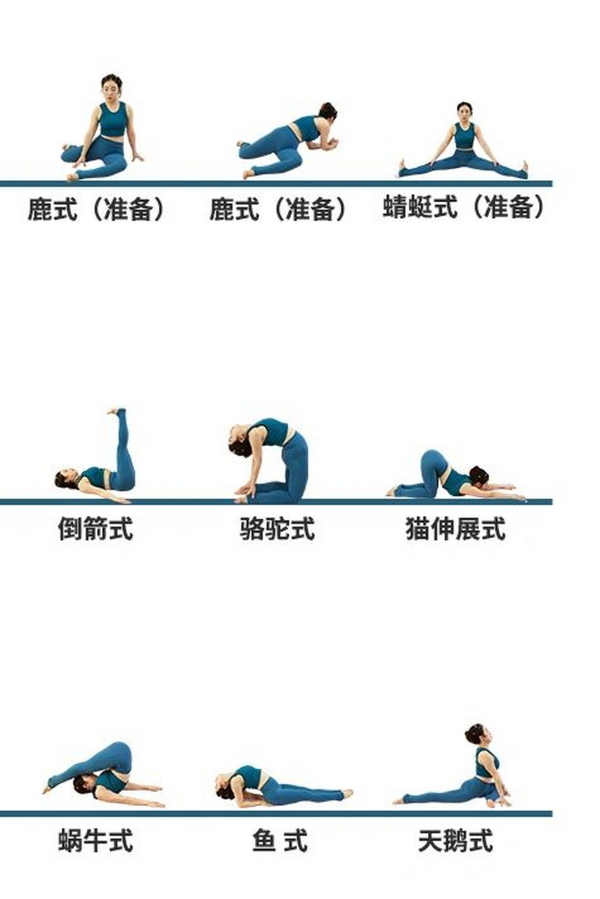 阴瑜伽体式全集  阴瑜伽——(十二条经络) 肺经,大肠经,胃经,脾经(3