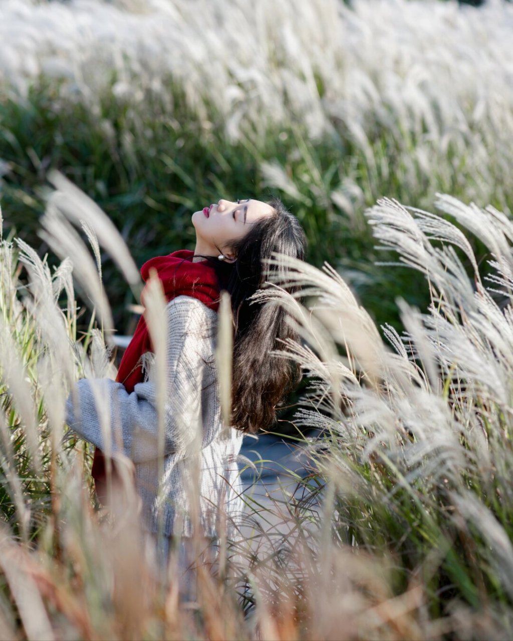 风吹芦苇荡,芦苇不语,风却懂