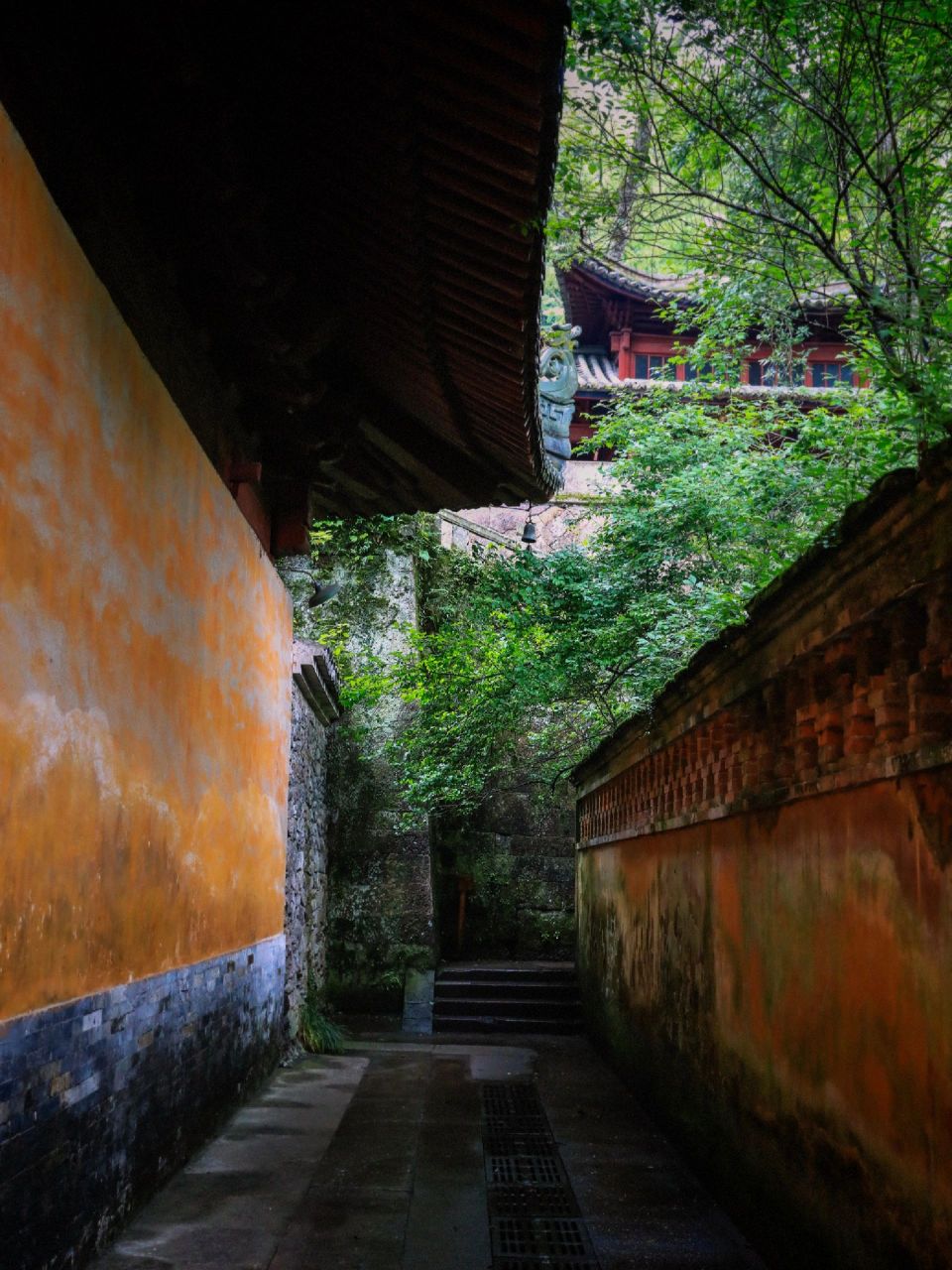 98相比于都市里的寺庙 这座山里的千年古刹 反而更古朴!更吸引人!