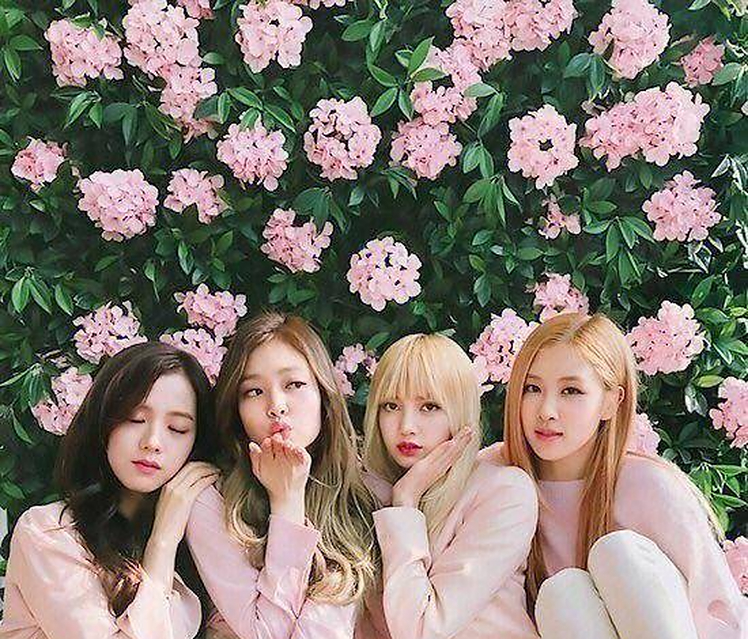 再创第22个世界纪录,blackpink巡演收入1000亿韩元,谁的功劳最大