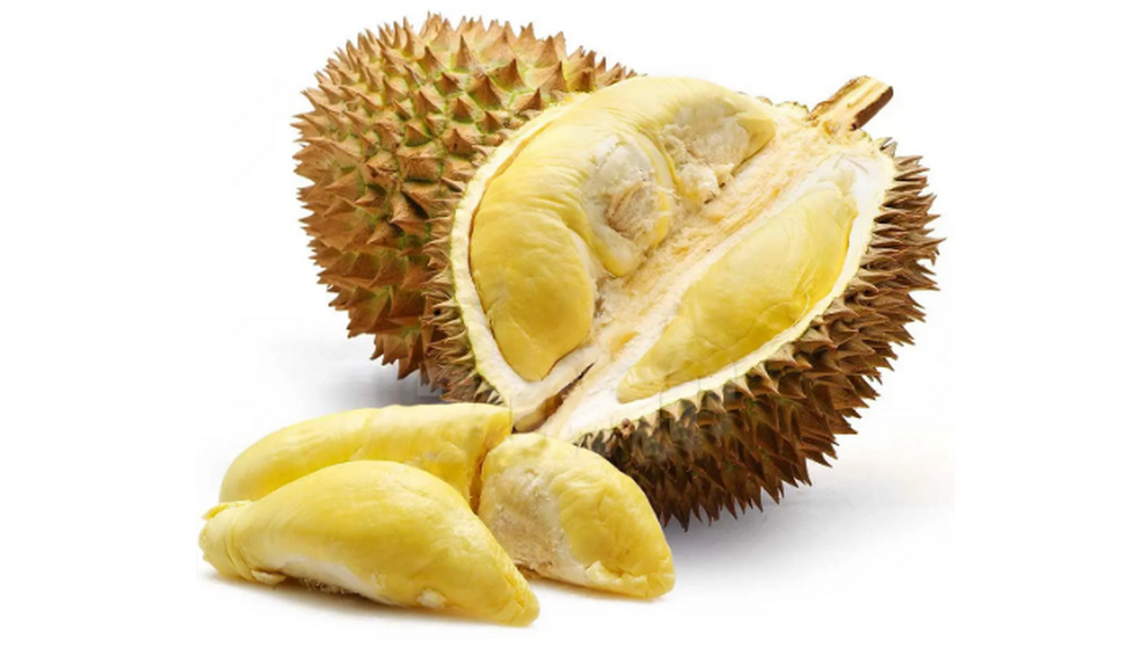 榴莲为什么这么贵 运输成本高 榴莲属于热带水果,而在中国的热带地区