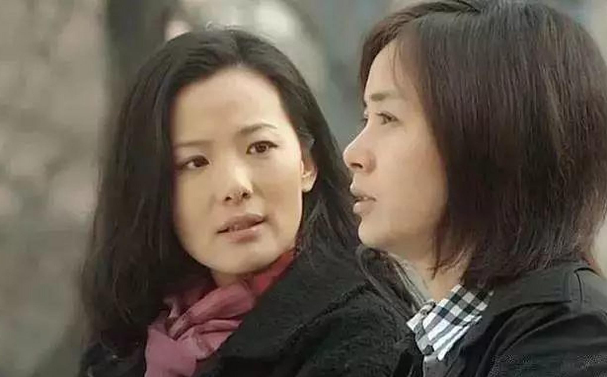由陈道明,蒋雯丽,咏梅,左小青等主演的《中国式离婚》于2004年初在