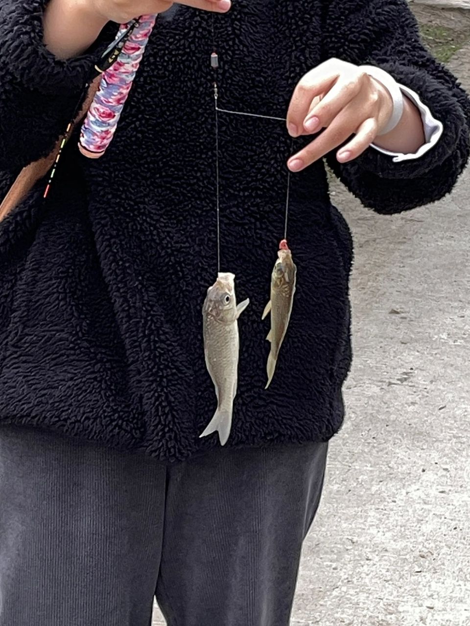 想钓你了95 花荄哪里可以溪流钓 刷视频手痒得不得了 有没有大哥