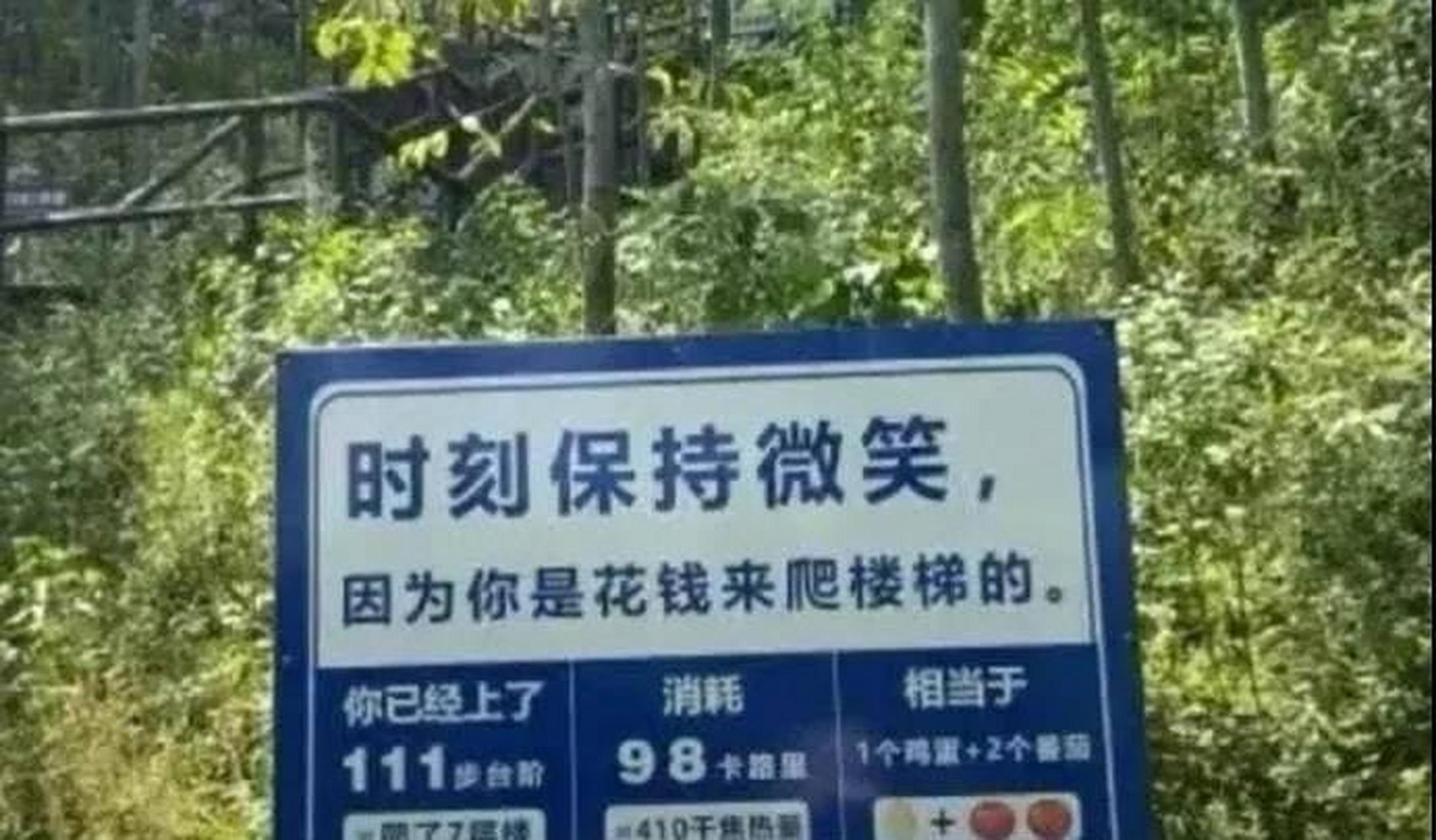 网友:好欠揍的登山牌 #搞笑趣味图
