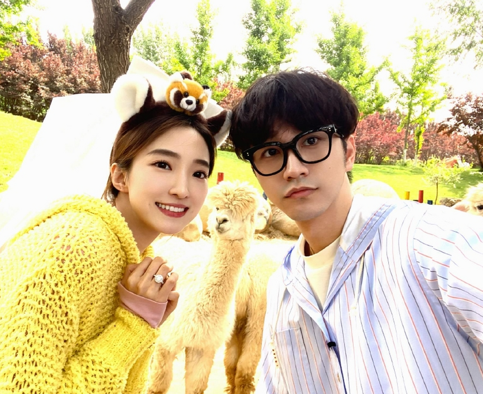 赵琦君向杨凯雯求婚成功,二人甜蜜合影曝光  赵琦君和杨凯雯是《心动