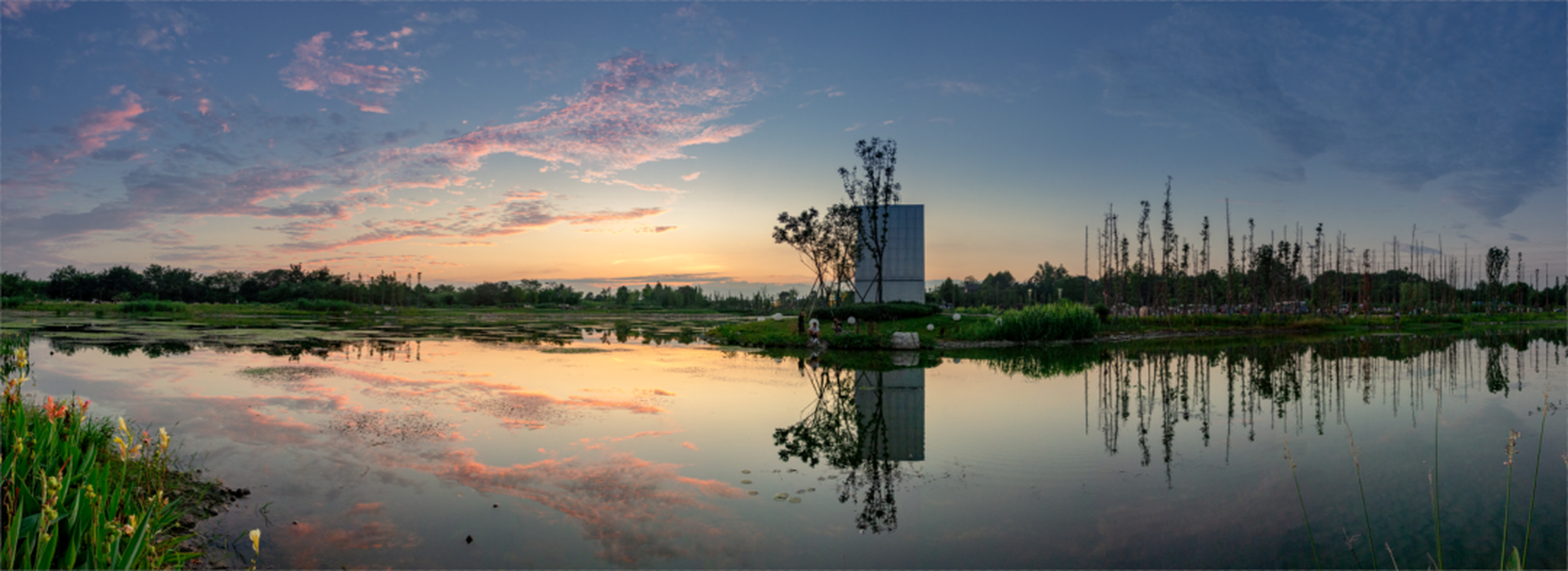 金马河水滔滔,滋养出温江鲁家滩湿地的秀丽!