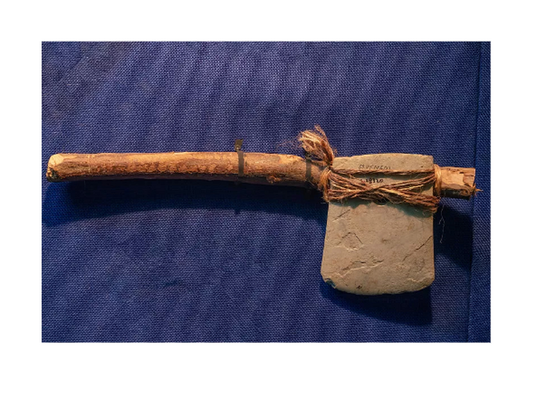 你知道原始打猎都用什么工具吗?