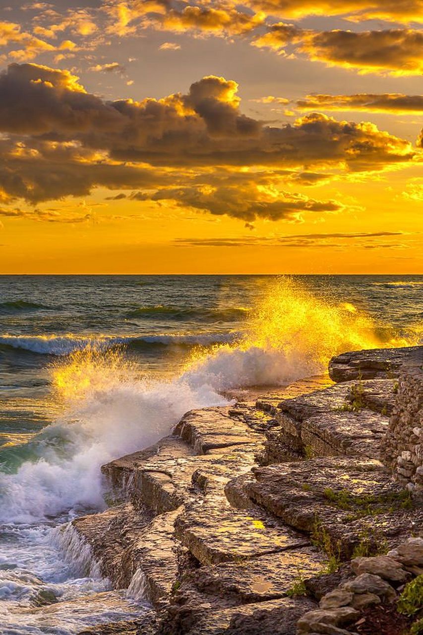 我枪所指之处皆为正义!一江南《荆棘王座》