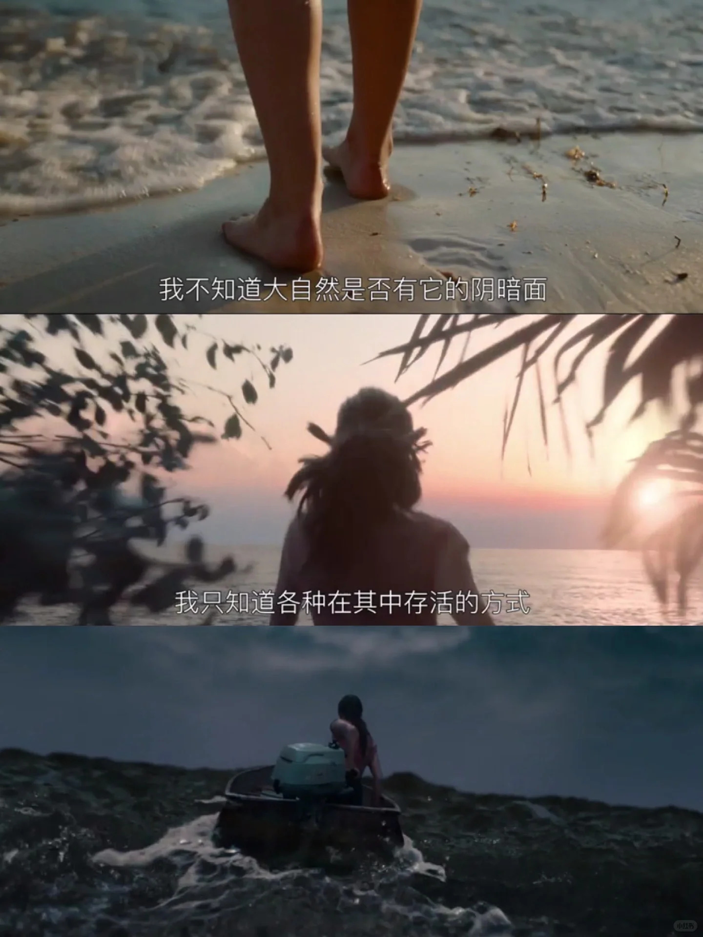 片名《沼泽深处的女孩》 一个拥有自由灵魂的女孩自救成功的故事