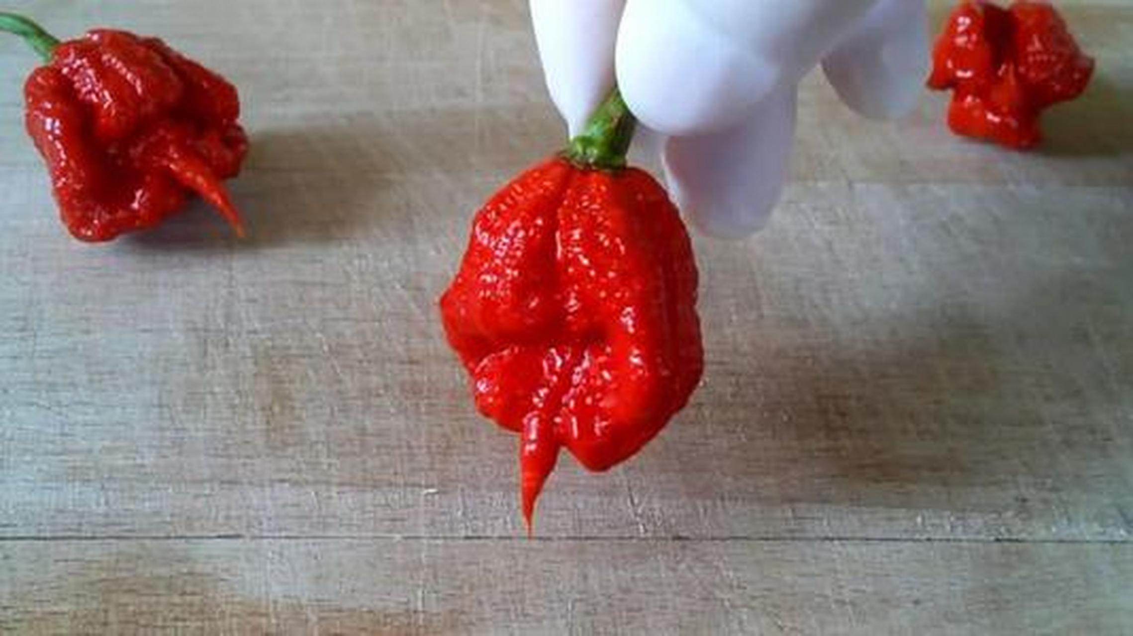 夏日限定美食#七锅杜格拉:七锅杜格拉这个辣椒据称如果不小心碰到