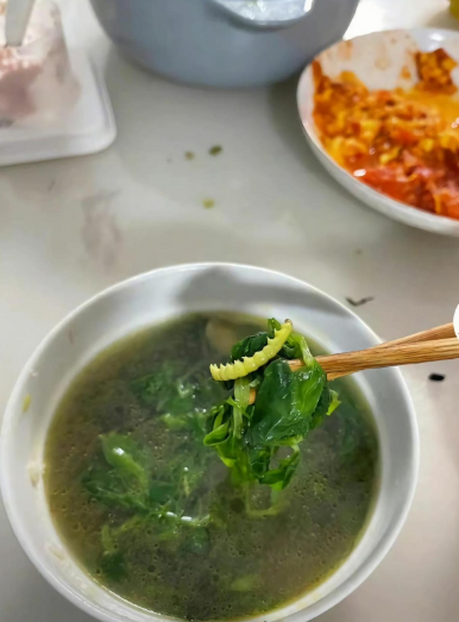 感谢老板,给我加了个蛋白质