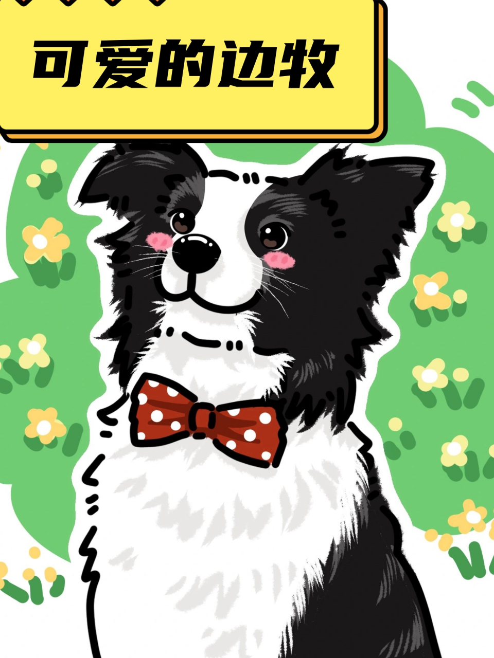 可爱的边牧