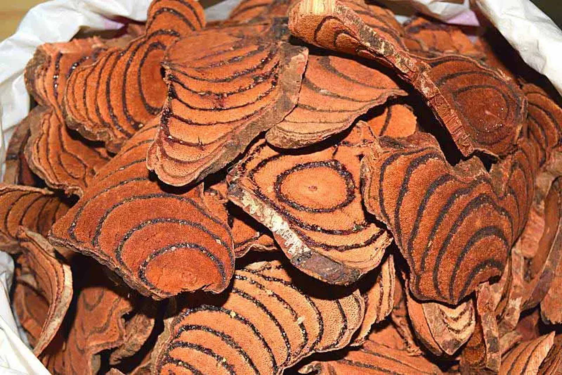 一物降一物 这两味中药能够快速缓解腰突 四肢麻木,腰突疼痛症状