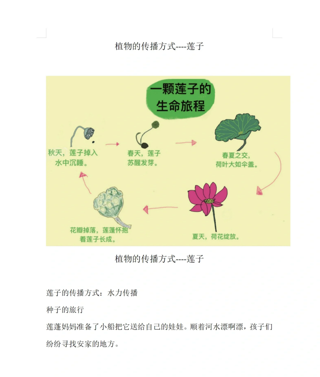 种子传播方式图片大全图片