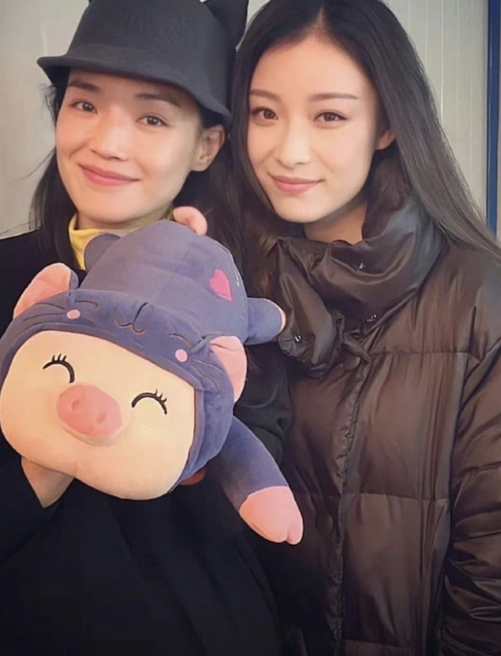 舒淇倪妮,不同类型的美