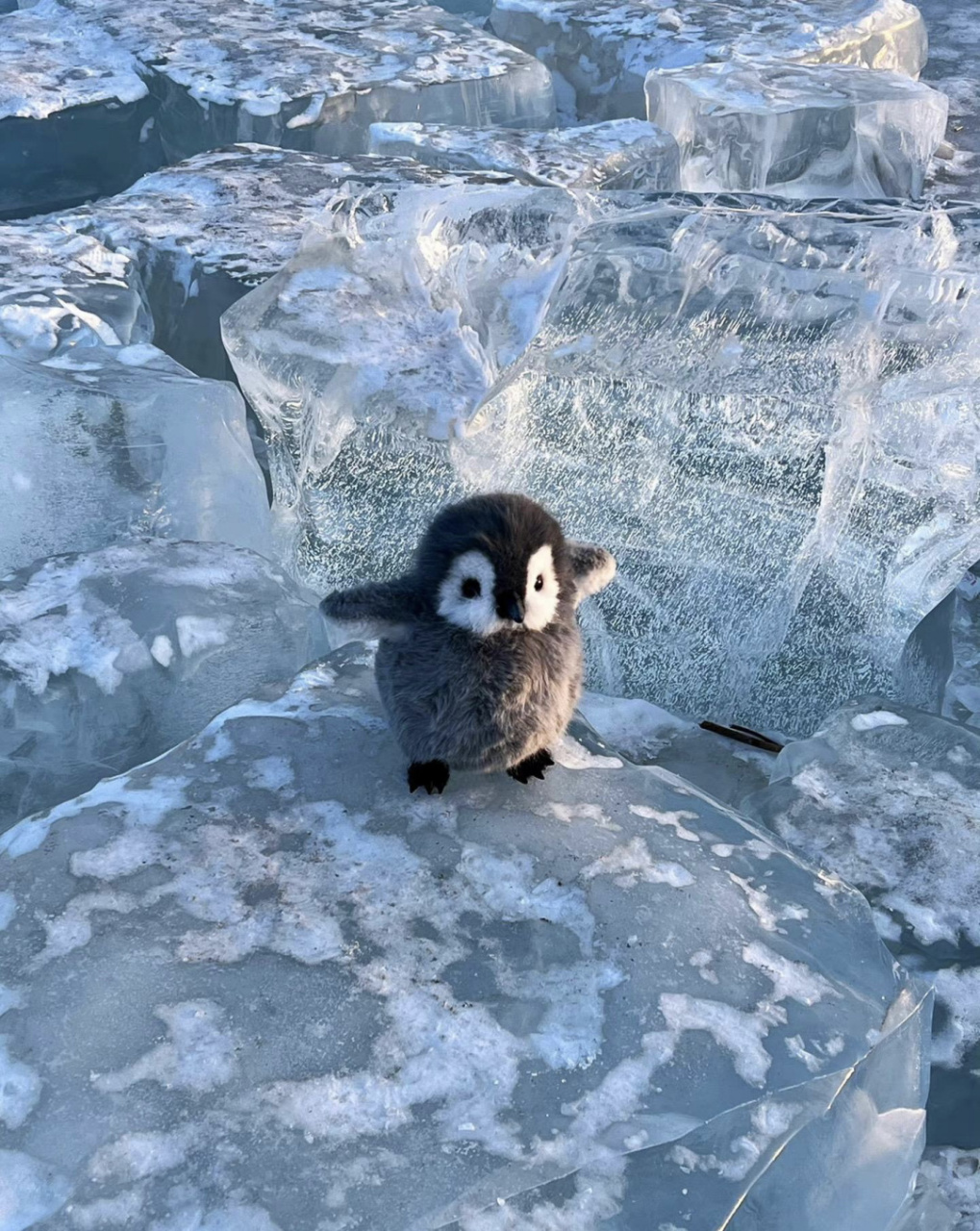 很适合做头像的一组小企鹅哦  真的好可爱啊,心都萌化了