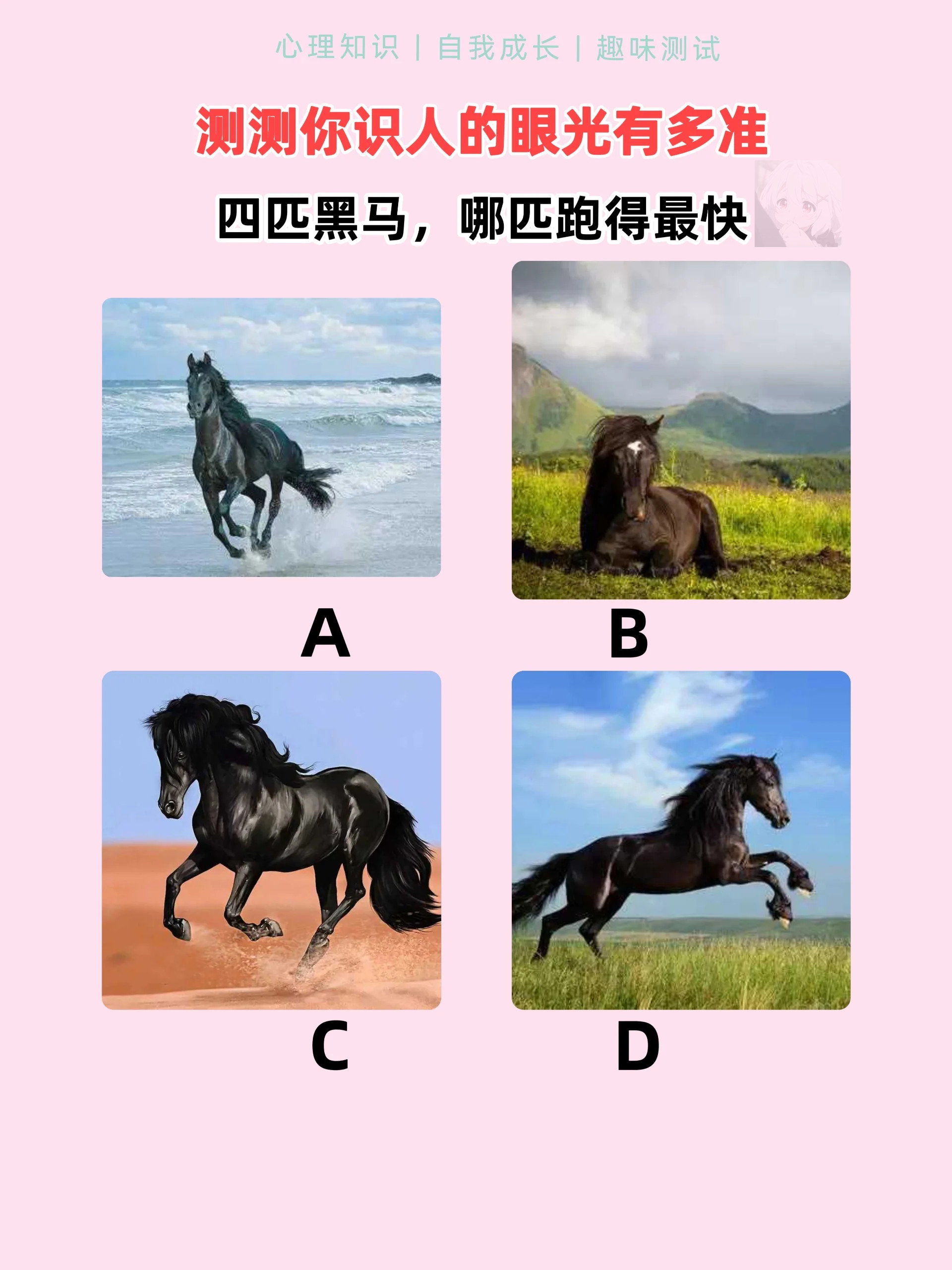 根据第一眼的直觉你能准确判断四匹黑马中哪匹跑得最快吗?