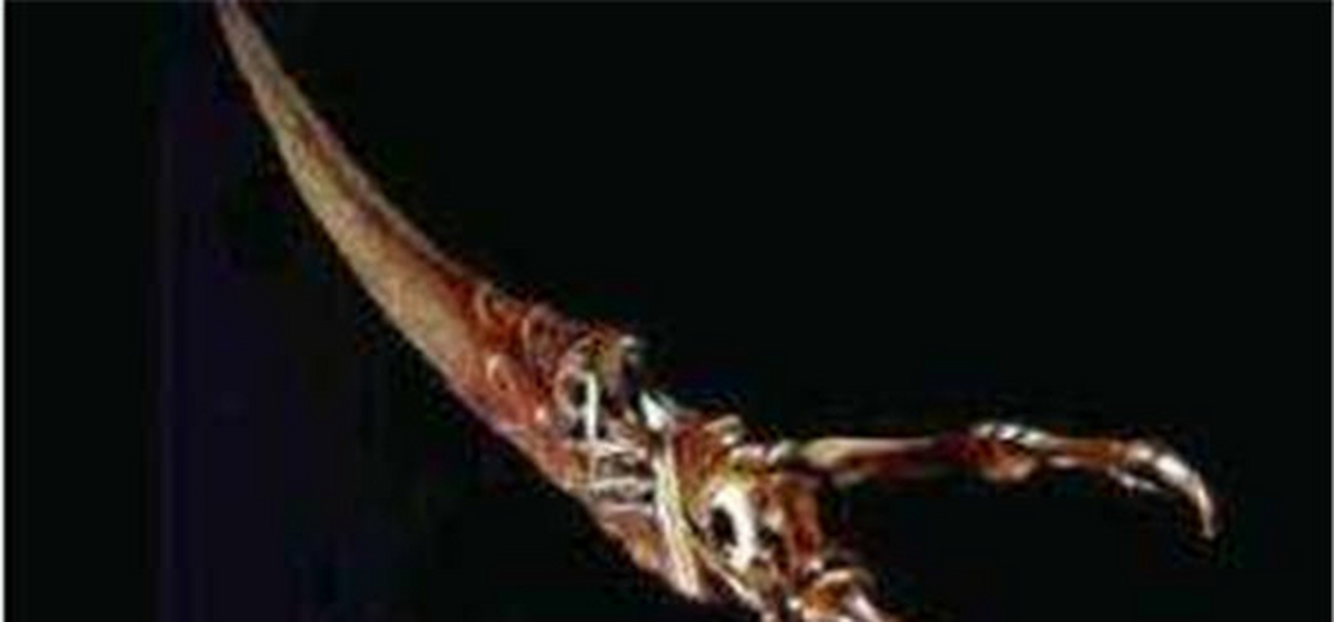 世界上最恐怖的一把刀叫做鬼手刀,其外形正如其名,刀把处并非常见的