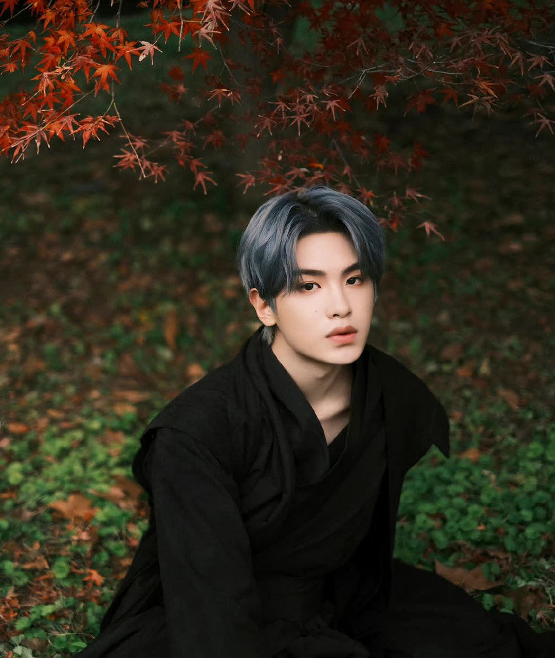 黄明昊一身古黑长袍,深蓝色的头发,在红枫的衬托下显得格外抢眼,仿佛