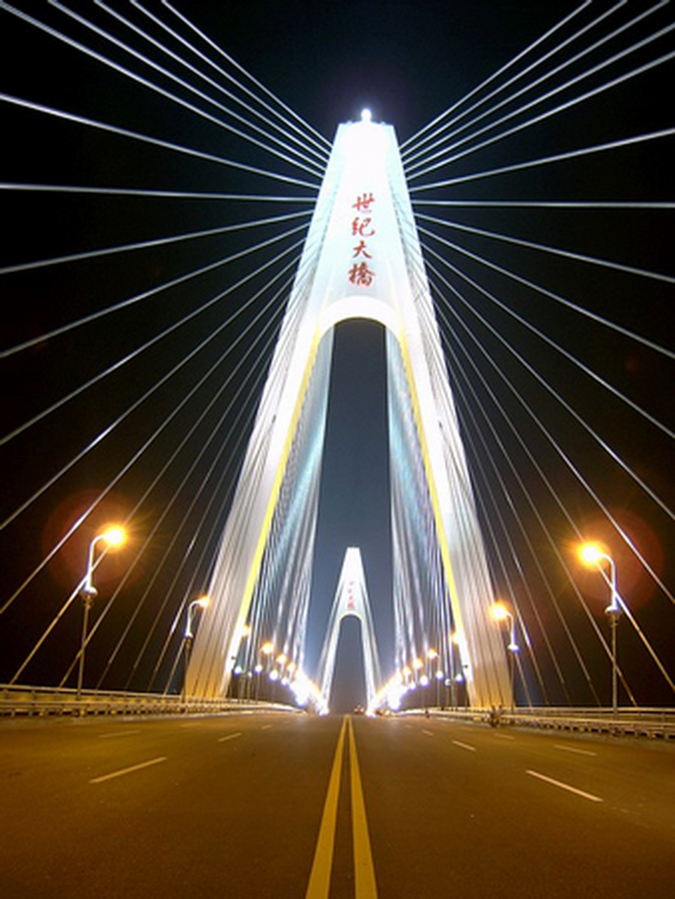 世纪大桥夜景 #世纪大桥夜景
