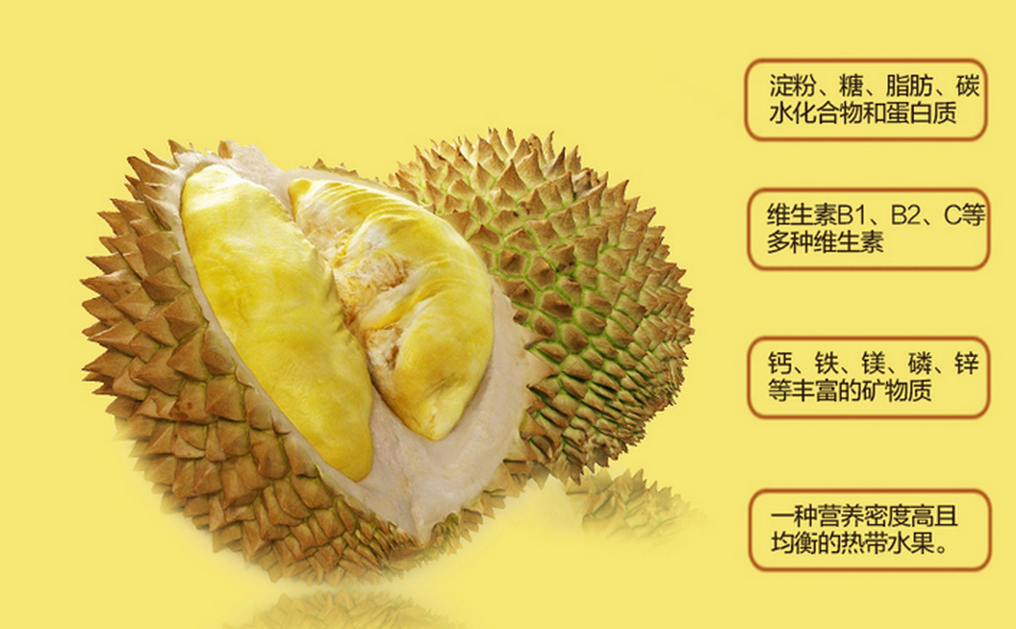 榴莲怎么挑(榴莲怎么挑选好吃肉多)