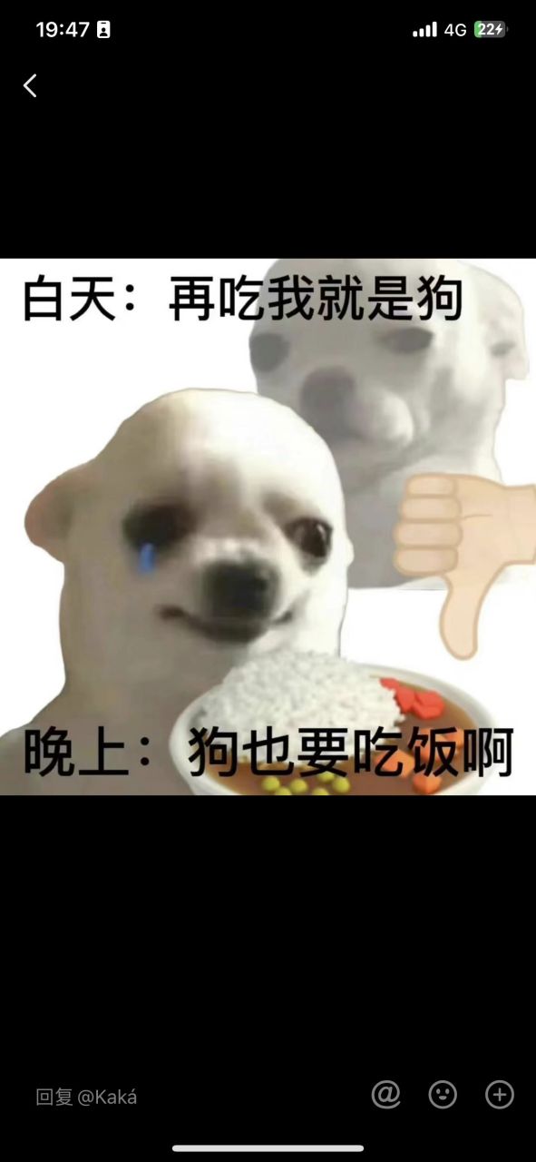 白天:再吃我就是狗 晚上:狗也要吃饭呀