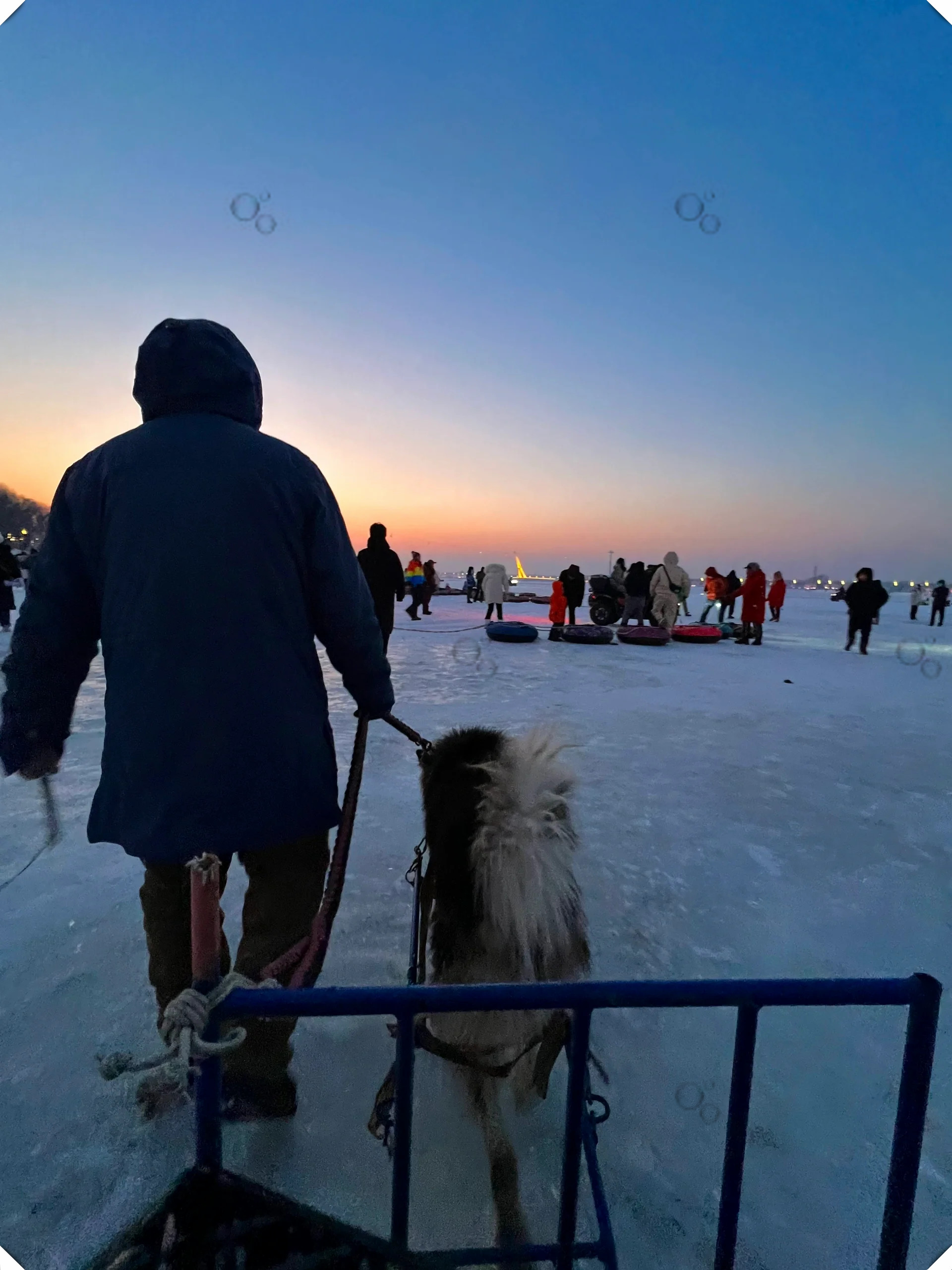 冬日哈尔滨松花江上的浪漫时光  北方的冬天,哈尔滨成为了冰雪王国