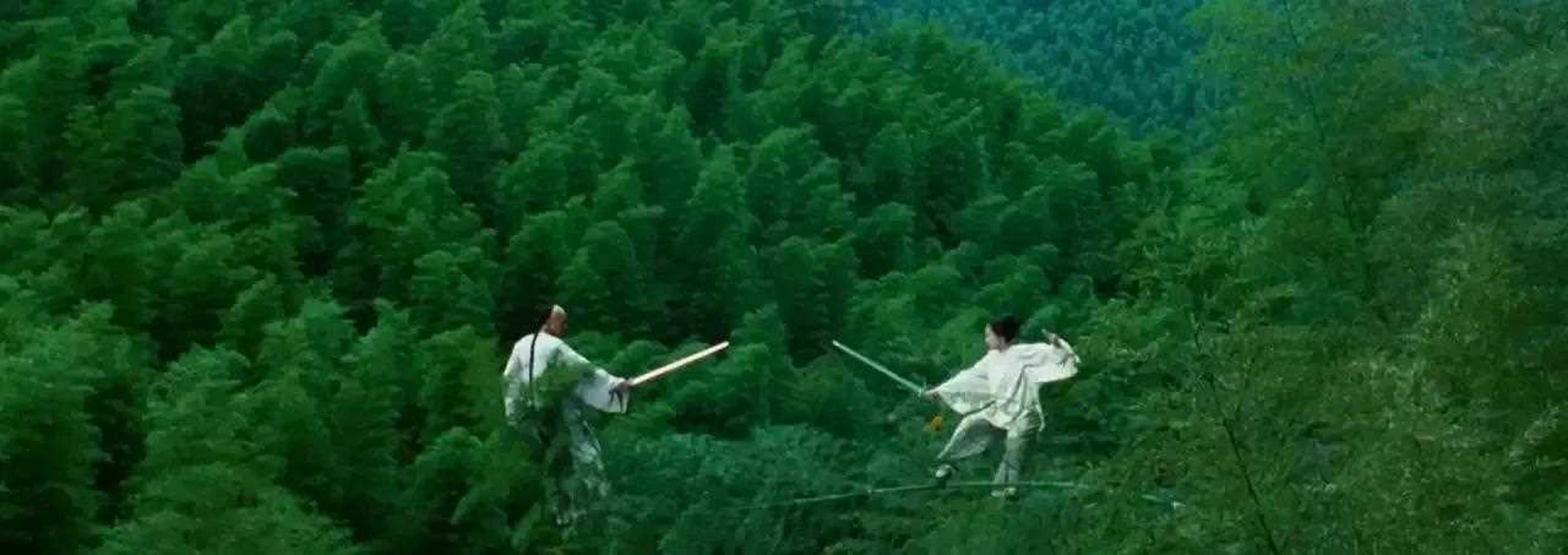 《卧虎藏龙》投资1亿,票房14亿,电影开拍时,因为钱不够,导演李安将