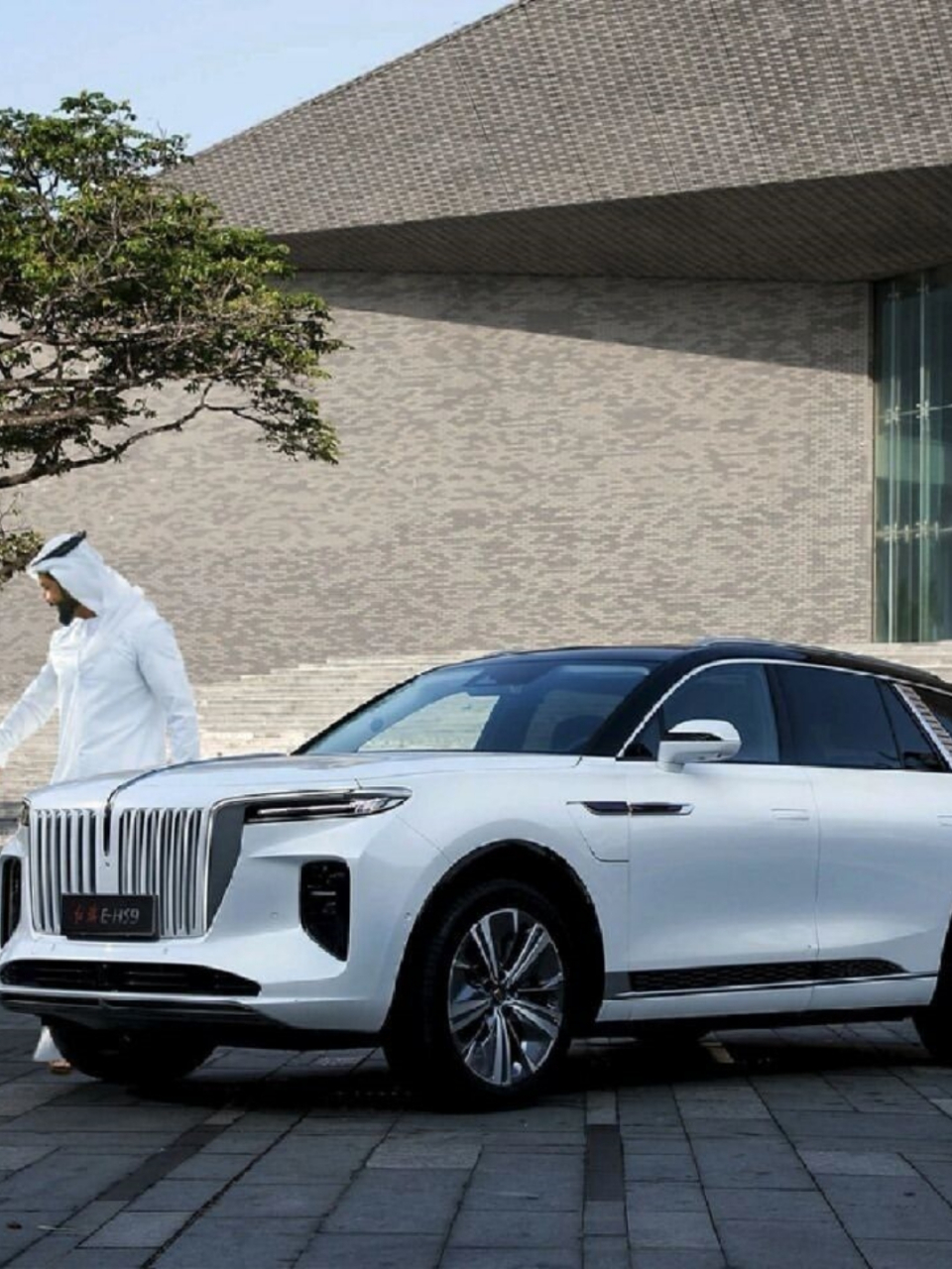 红旗e-hs9:每天一车,豪华电动车新选择