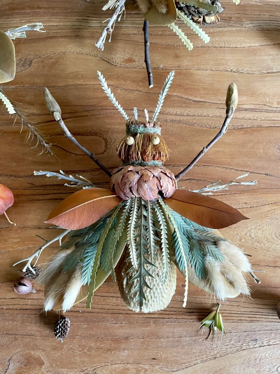 叶子,树枝与果子的奇妙邂逅——新虫子们的诞生  在夏天,小昆虫们纷纷