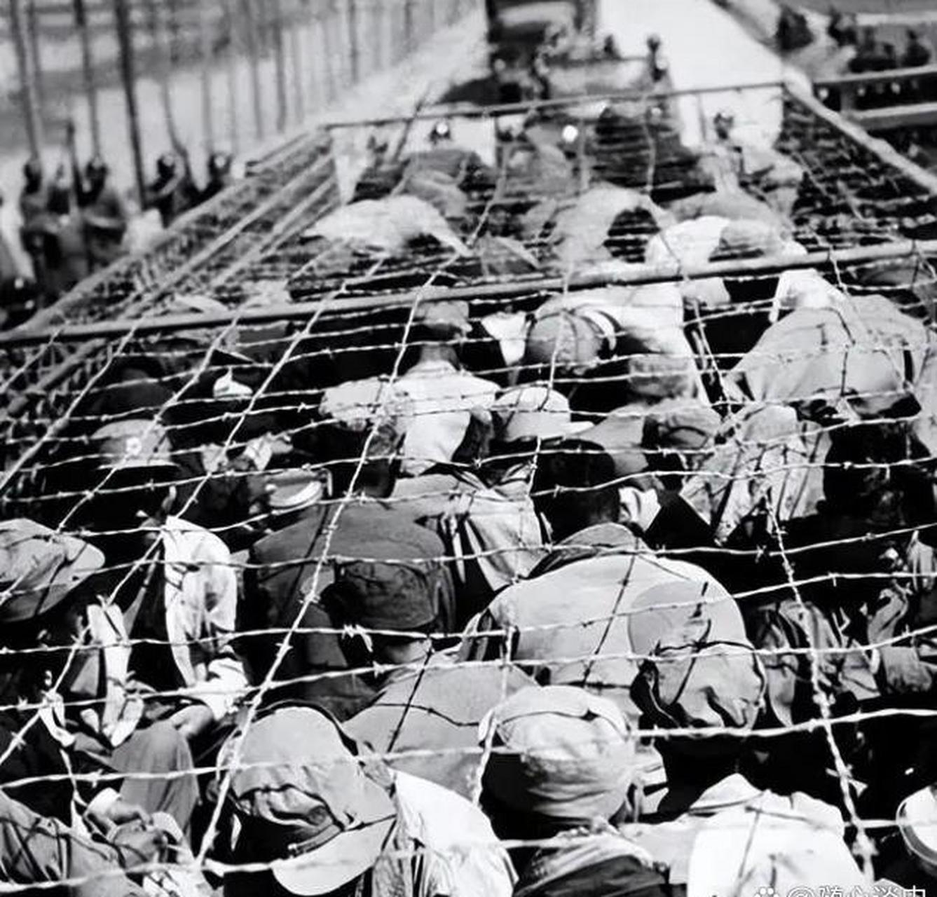 1952年的5月,巨济岛战俘营中,朝鲜兵和中国志愿军被美军残忍地虐待着!