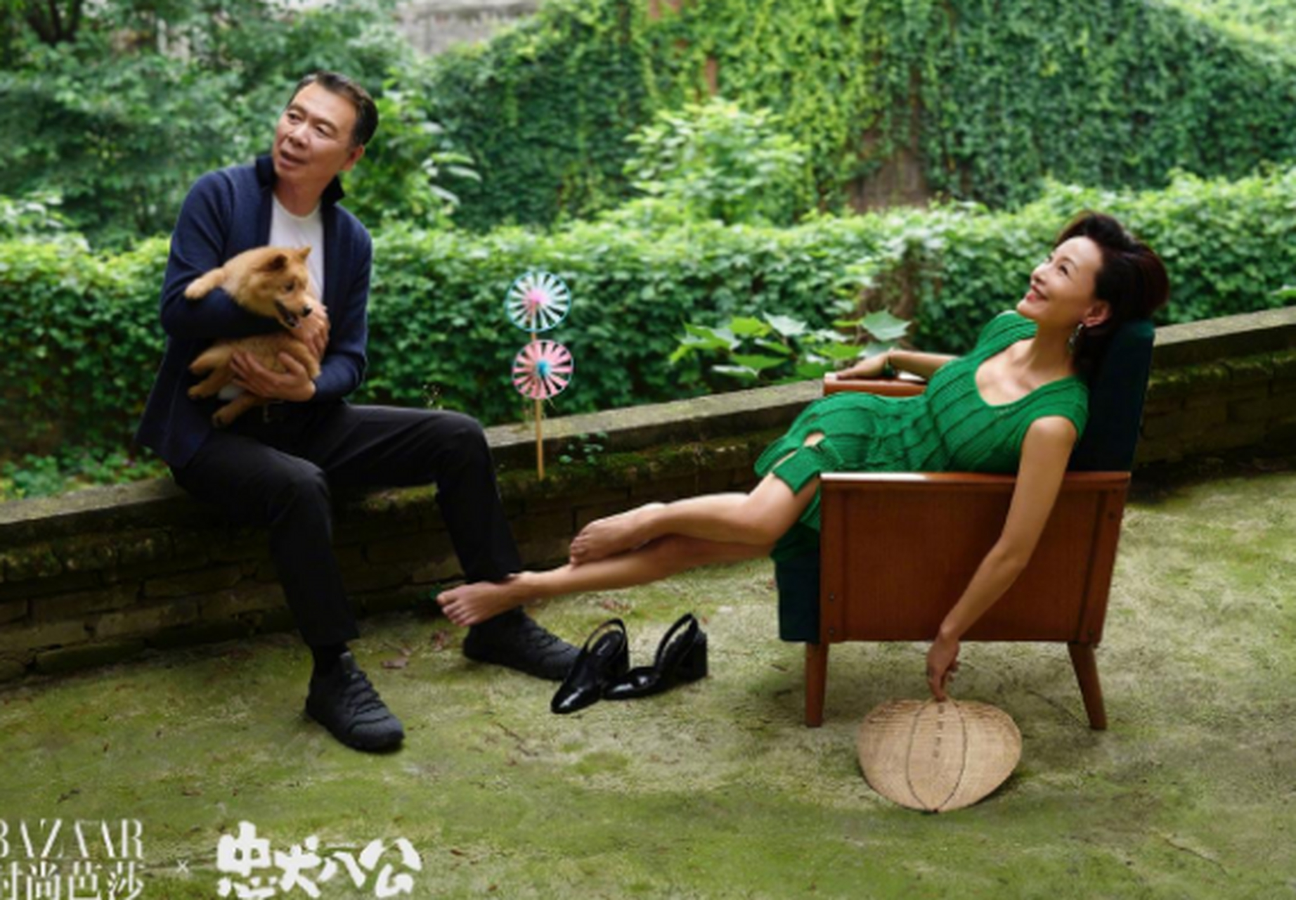 《忠犬八公》春日大片,冯小刚,陈冲携中华田园犬大黄温暖出镜!