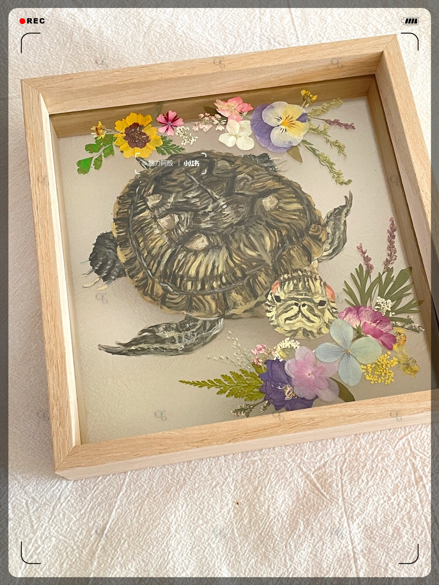 嘘～今天要偷偷分享一个小秘密画画的过程真的超级解压