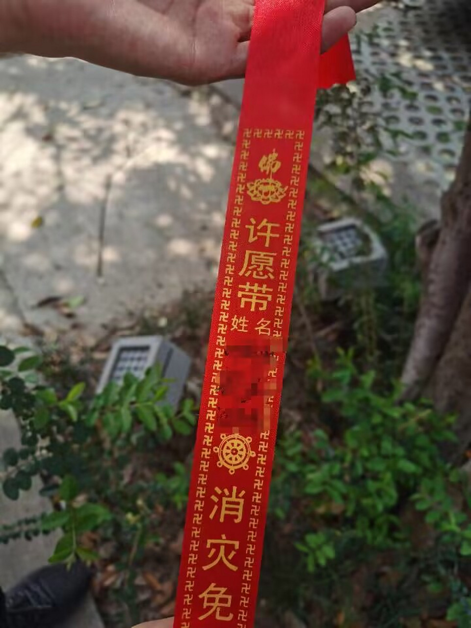 长春观门票图片