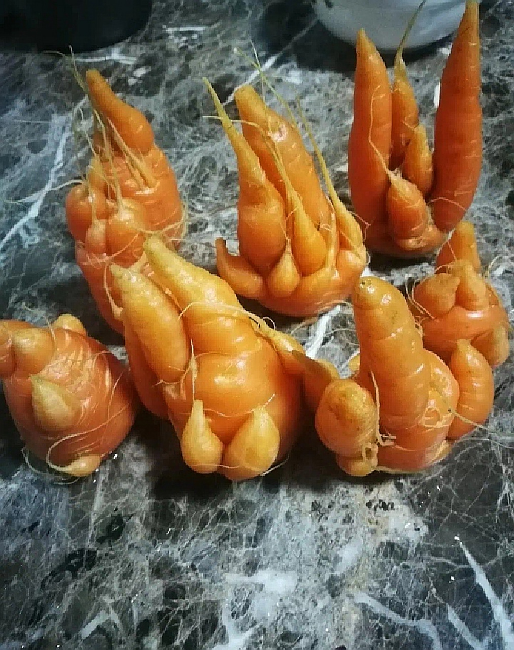 这是胡萝卜还是人参?