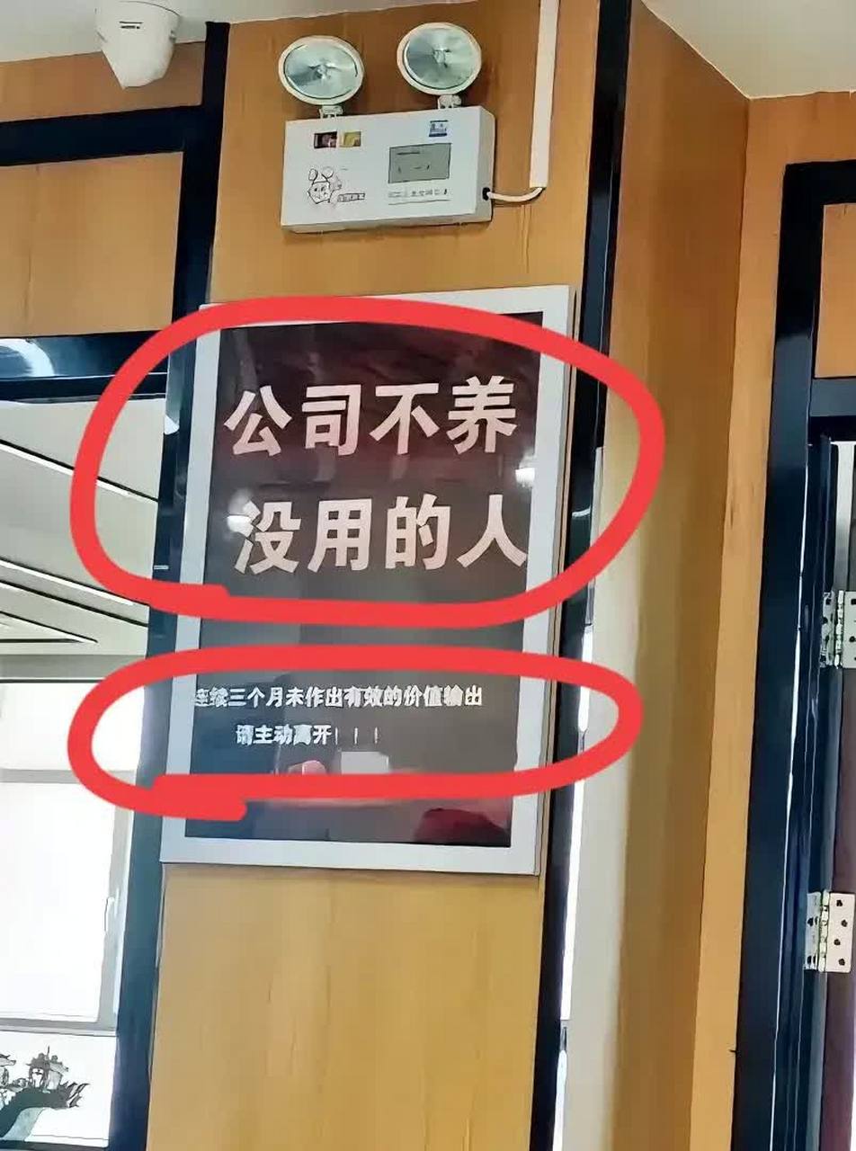 公司不支持无用之人.   这样的公司里还有其他人吗?[坏笑]