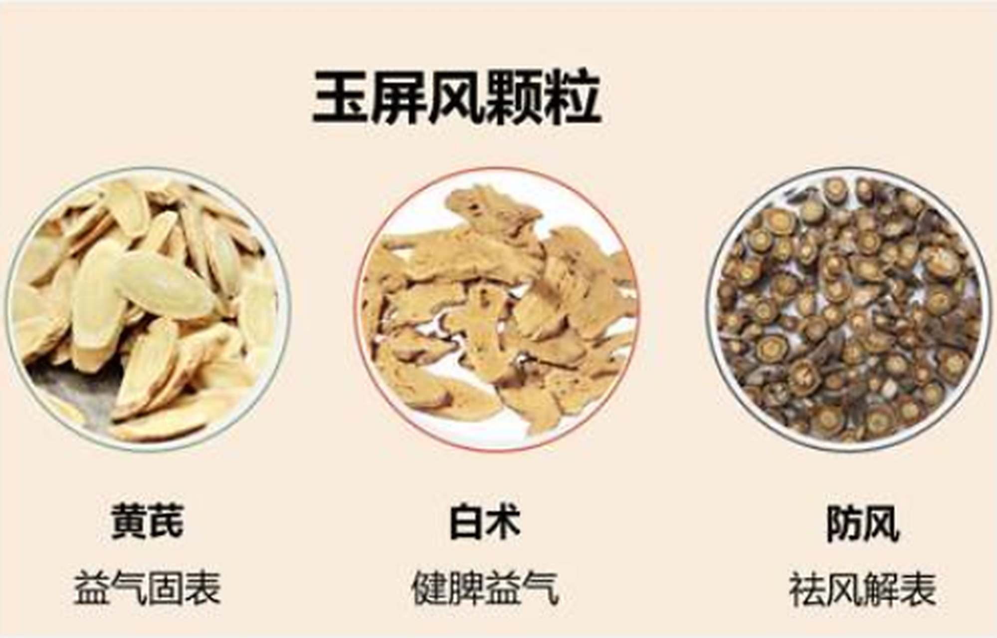 玉屏风,顾名思义就是像一道屏风一样抵御外邪,主要的作用就是益气固