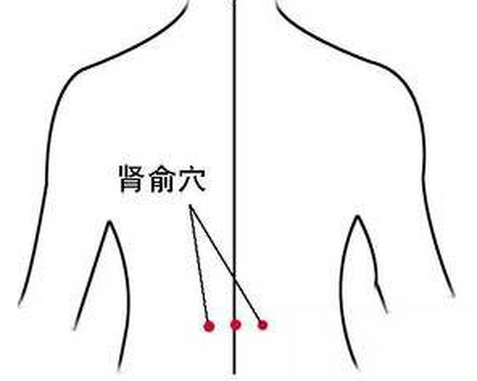 肾腧准确位置图 图图片