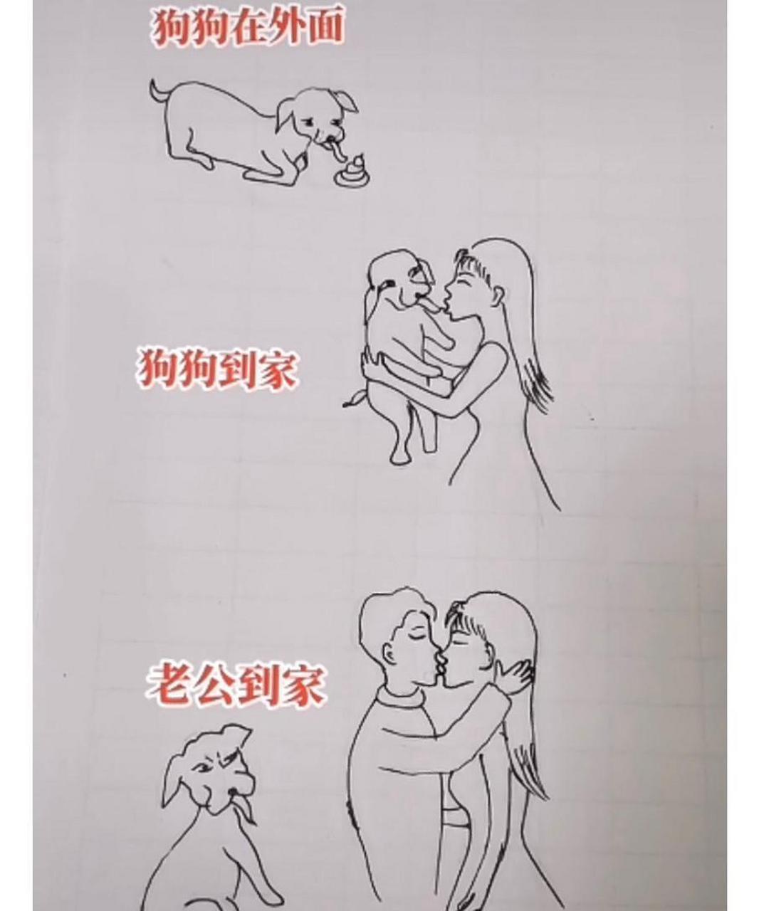 网友:无论如何也要反对老婆养狗