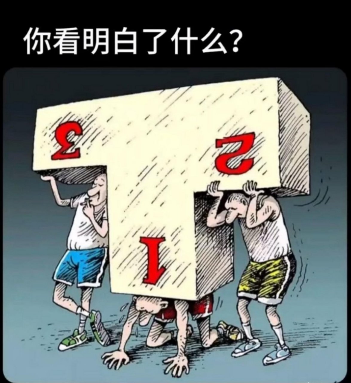 在这张图中你看明白了什么?