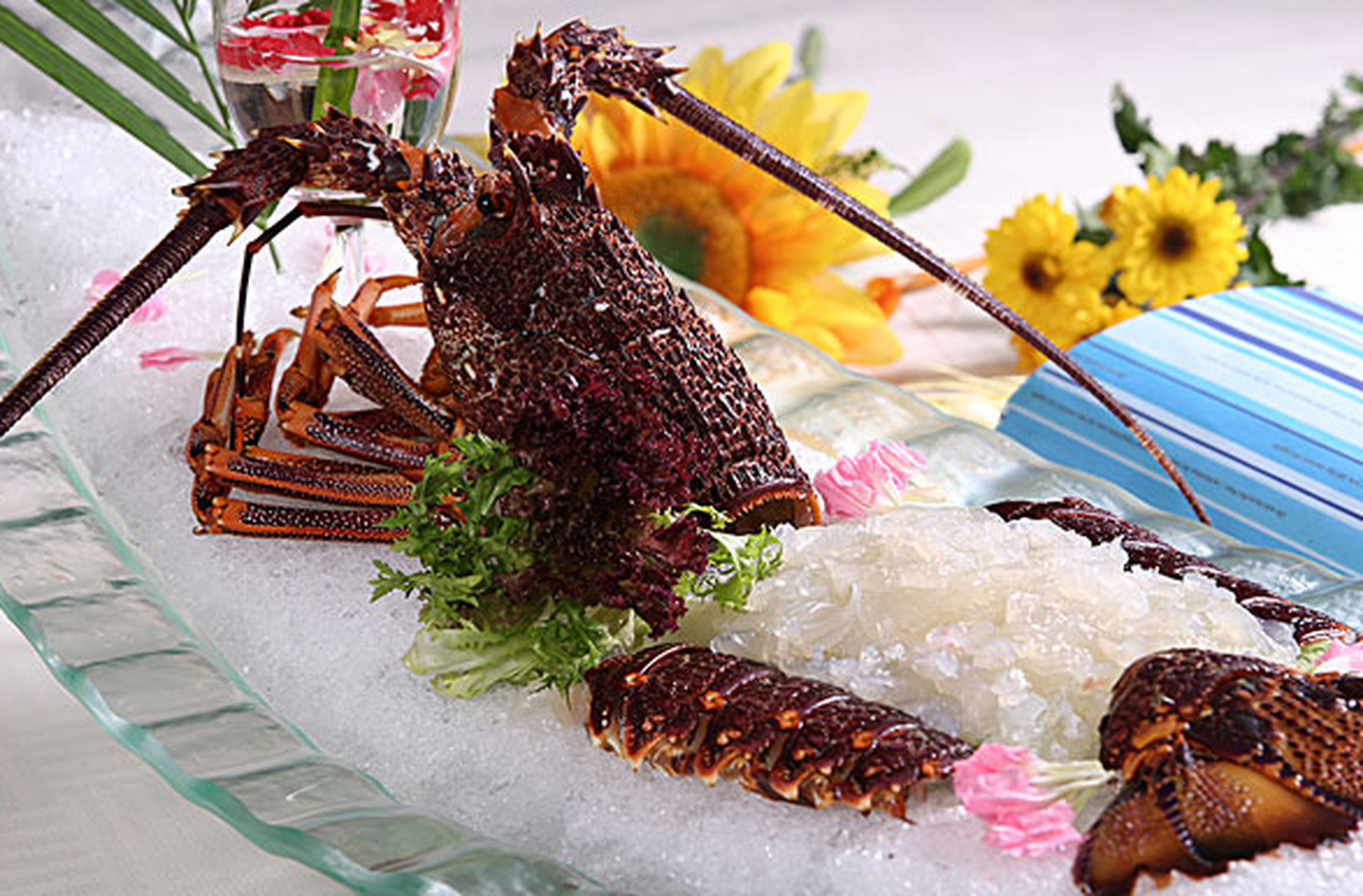 02欢迎来到我的私房菜,今天我要分享的是【龙虾刺身】食谱.