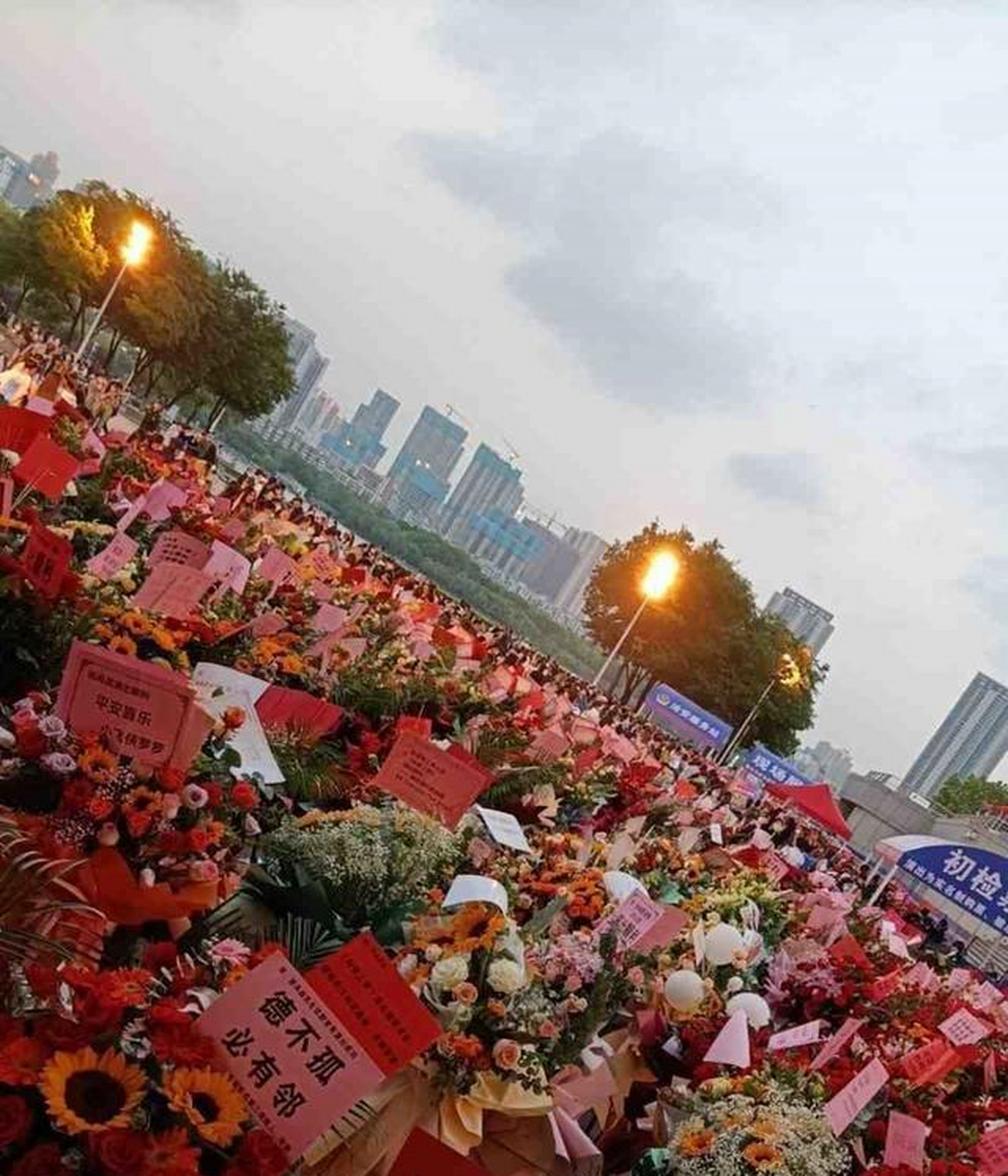 肖战如梦之梦武汉站首演一周年# 如梦之梦,武汉花海,话剧演员肖找一