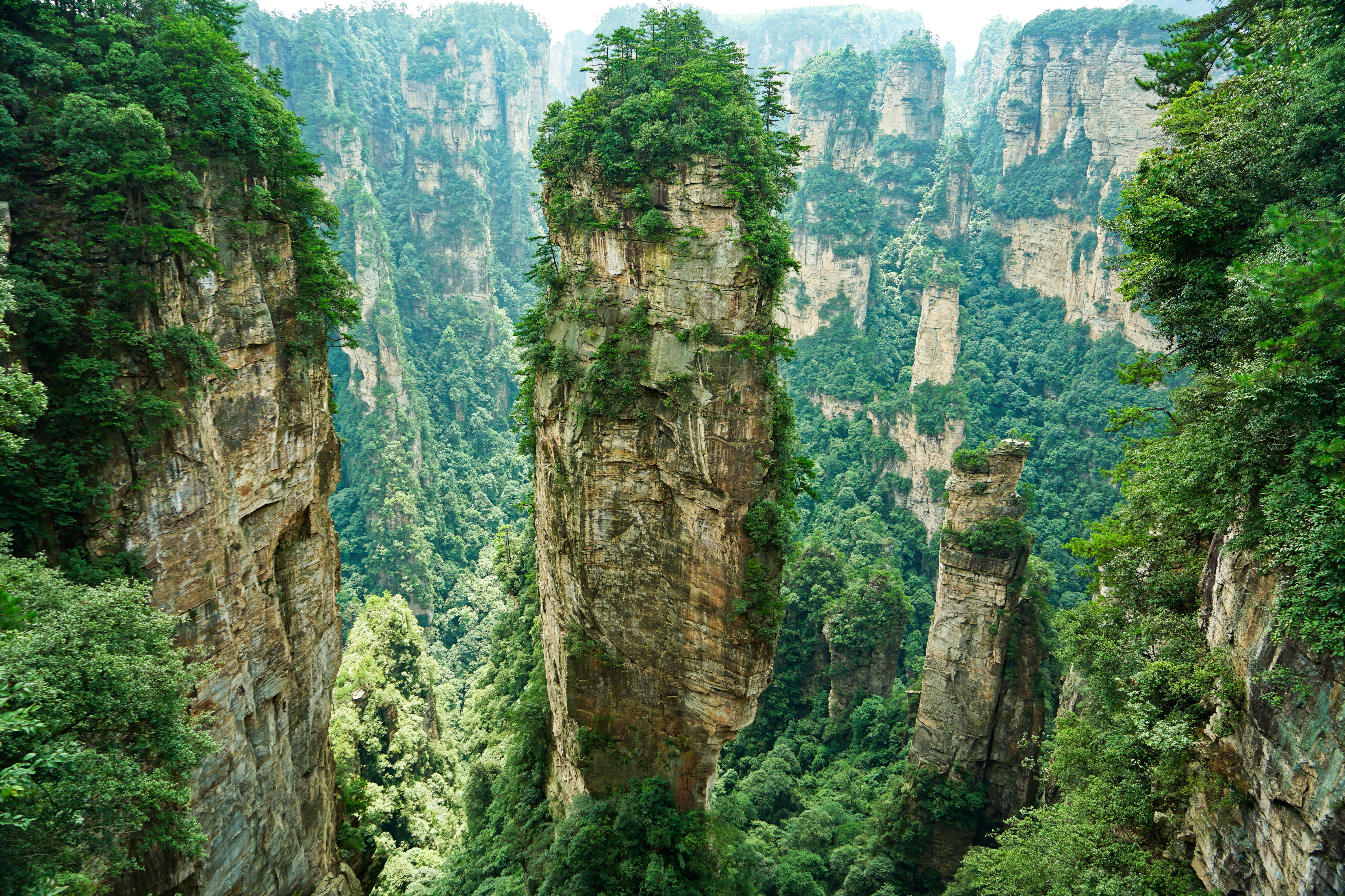 阿凡达悬浮山壁纸图片