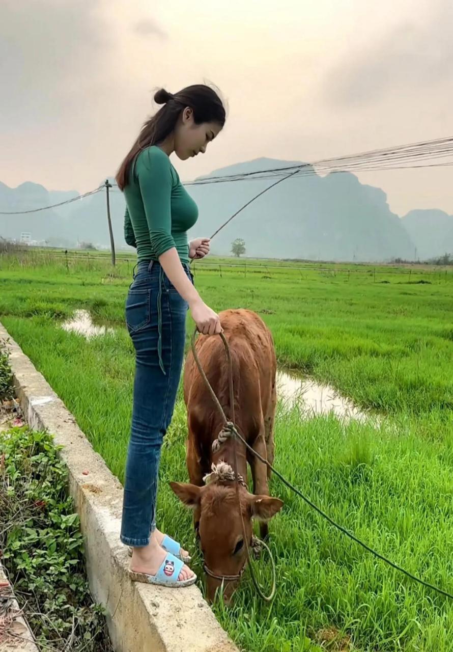 记得爷爷经常带我割草放牛放羊.