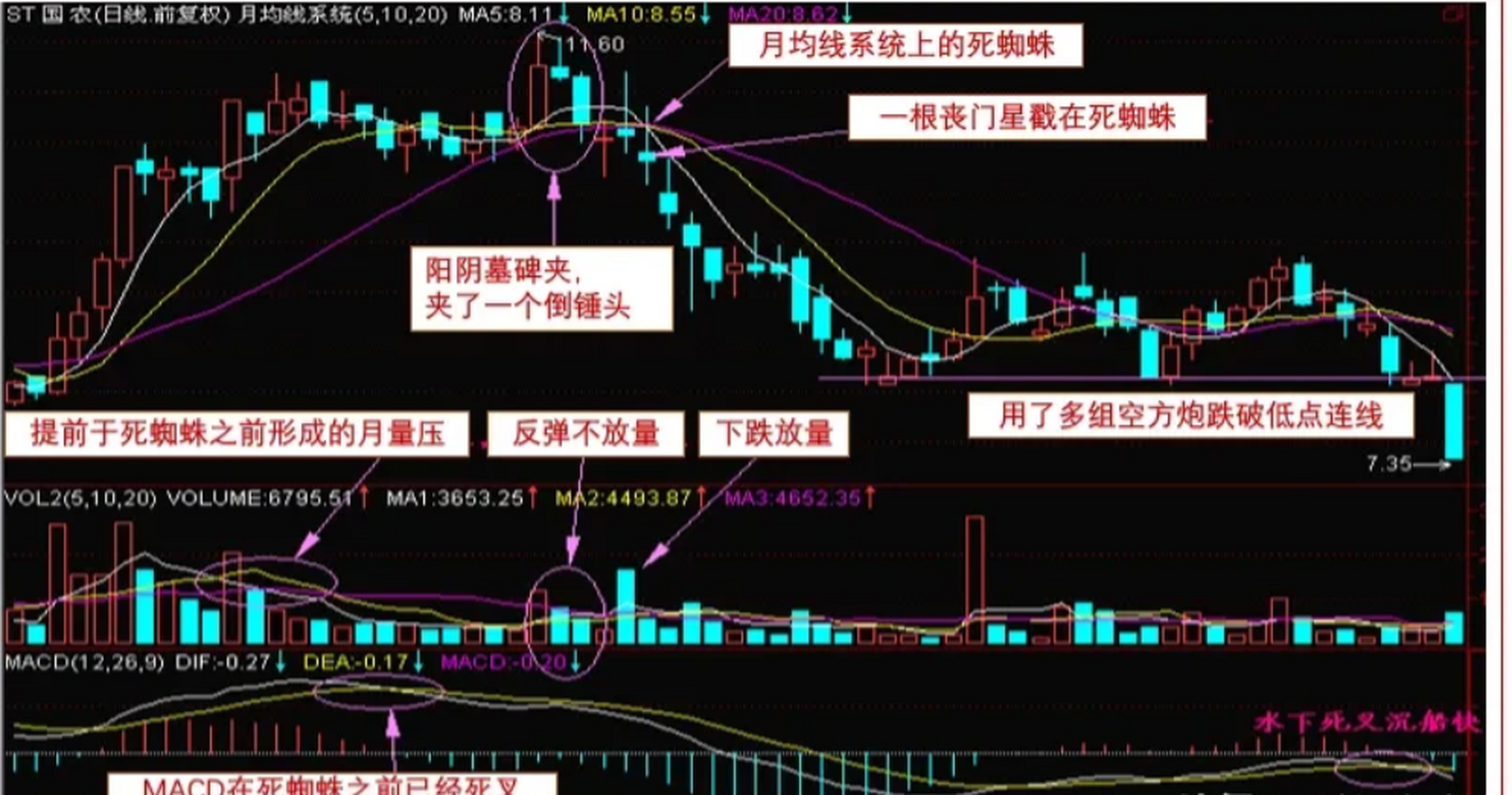 死蜘蛛k线图解图片