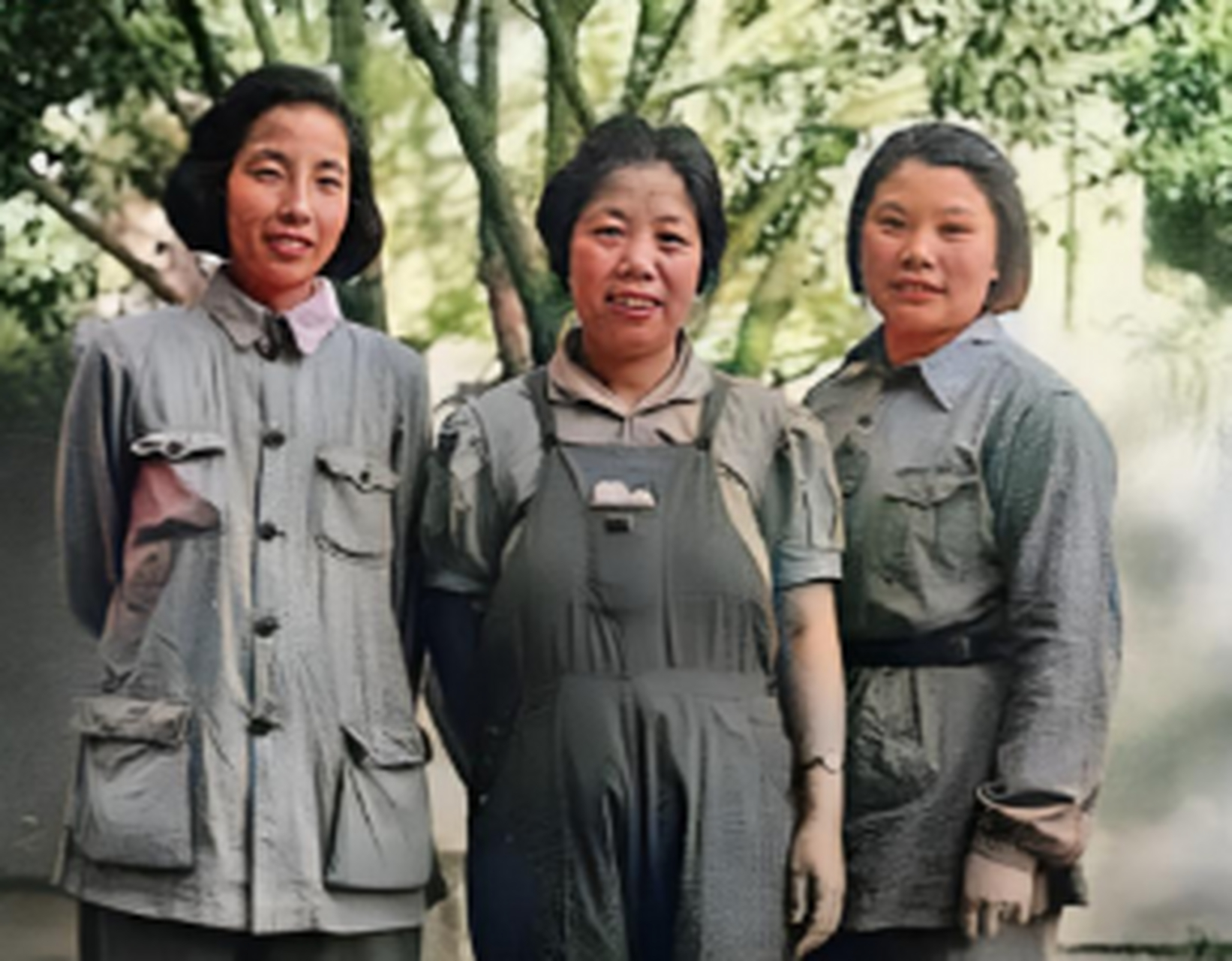 三人都为祖国做出了不凡的贡献,真是巾帼不让须眉!