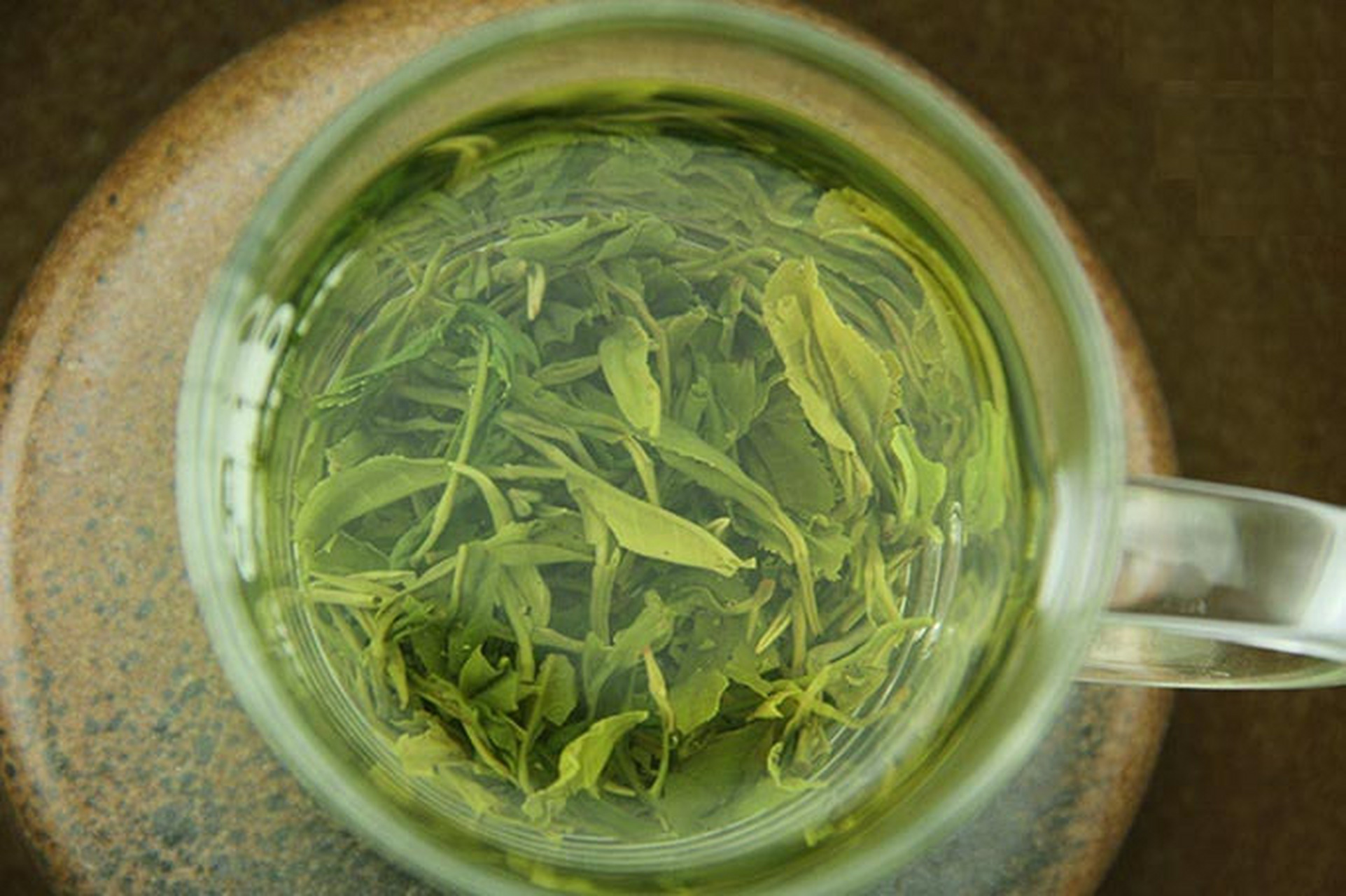 紫阳毛尖(紫阳毛尖属于什么茶)