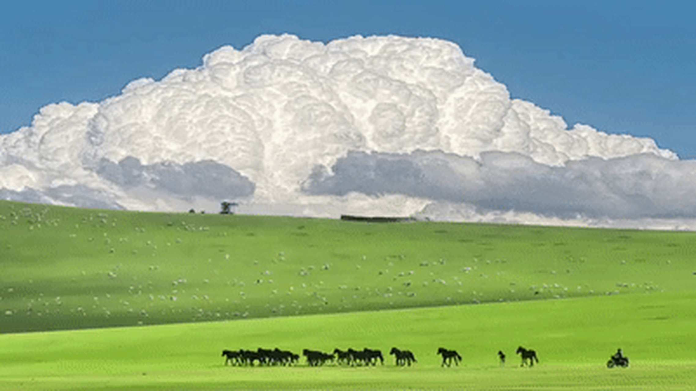 一半蓝天,一半草地,还有宫崎骏风的大片云朵,这是梦想中的大草原啊!