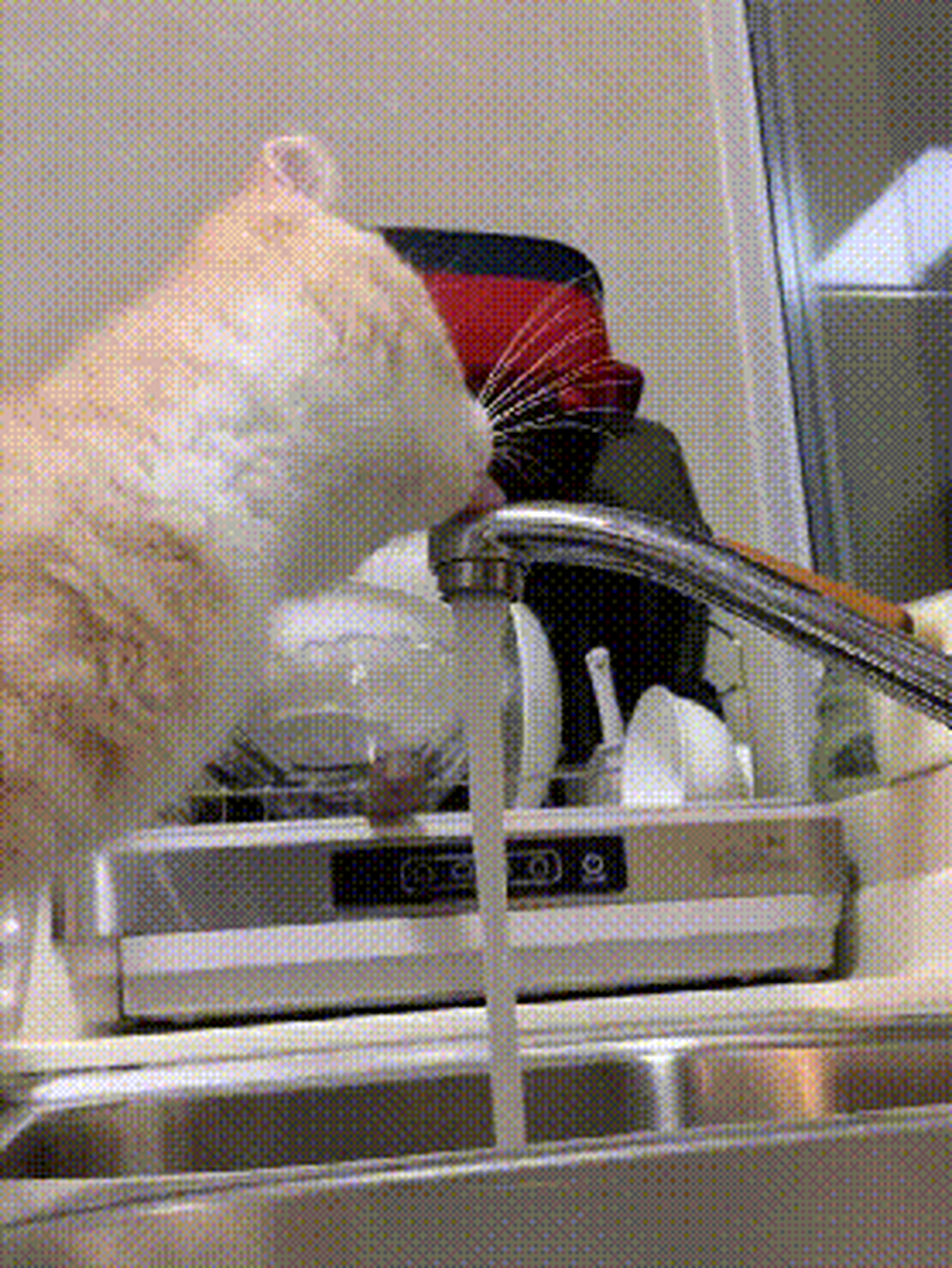 搞笑gif动图# 好蠢的猫,不过我喜欢!#gif创作人